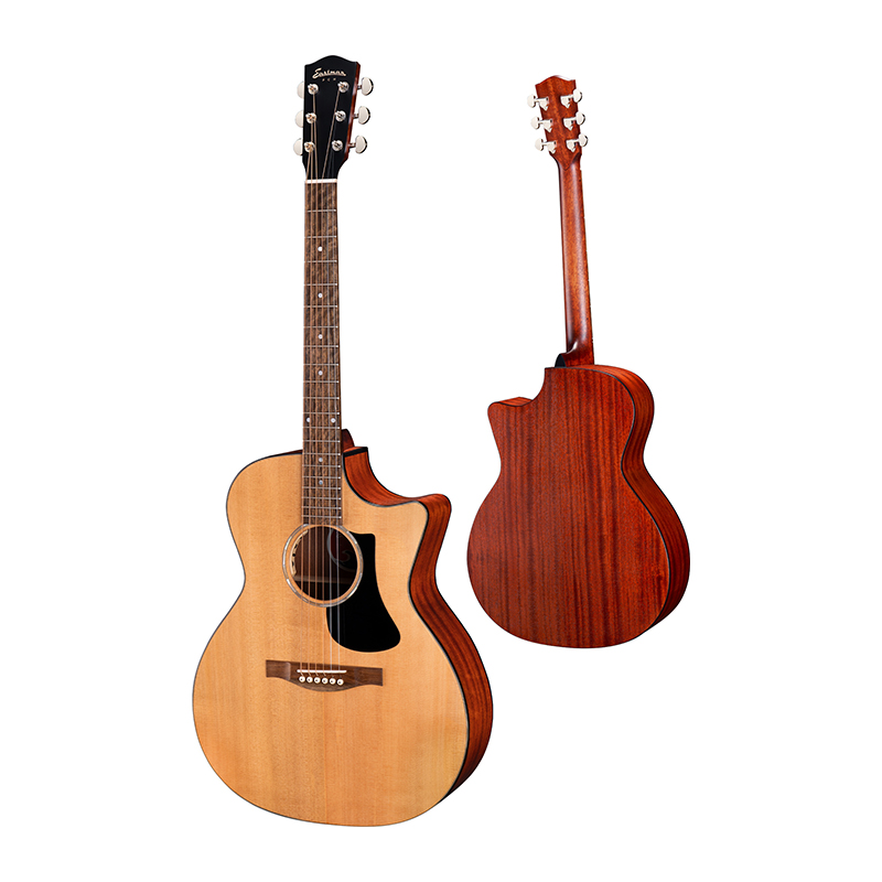 Eastman PCH1-GACE