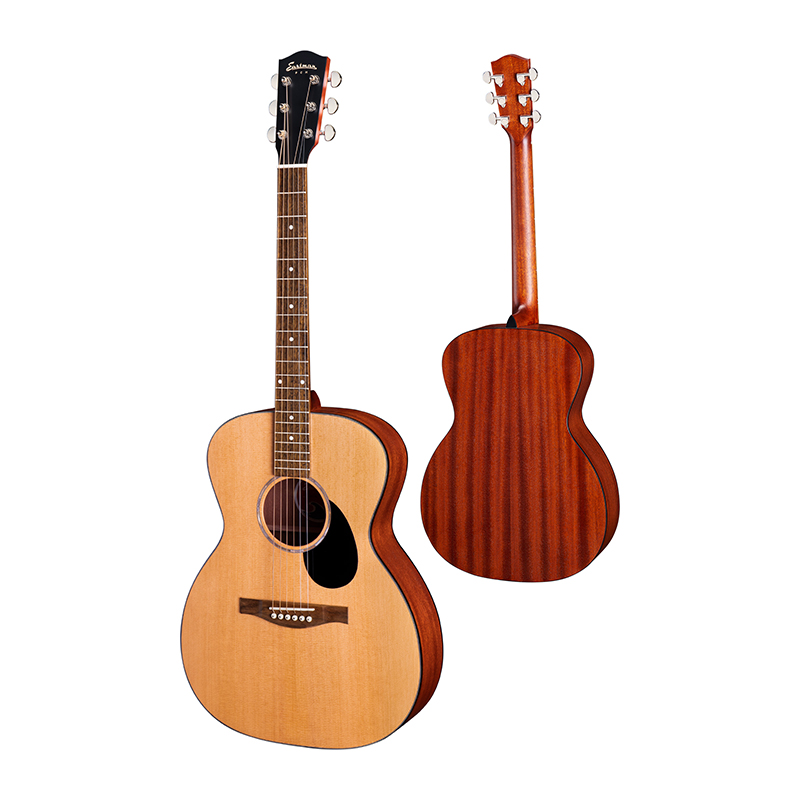 Eastman PCH1-OM