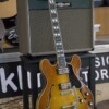 Guitarra Semi-Hollow T486B