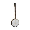 Tanglewood TWB - Banjo de 6 cordas