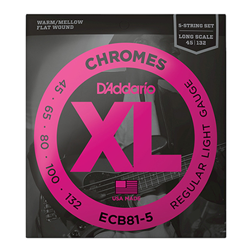 D'Addario - ECB81